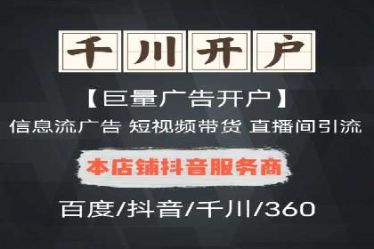 SEM搜索引擎优化策略解析与应用案例