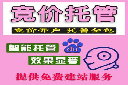 视频信息流广告在电商领域的推广策略